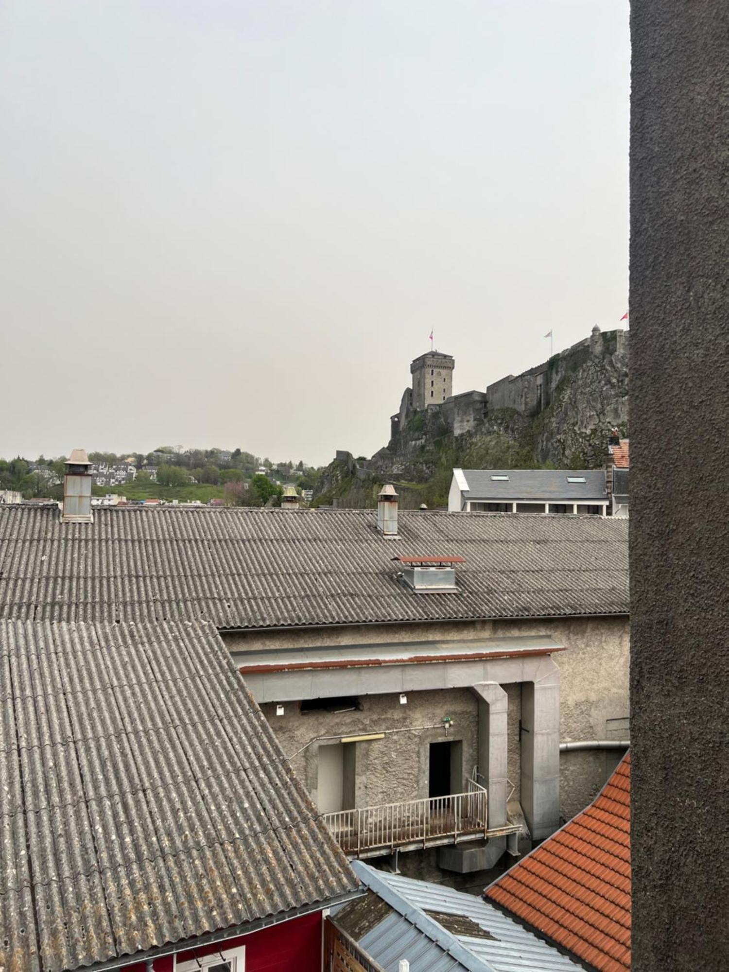 Residence Sainte Therese - La Villa Selva Lourdes Exterior foto